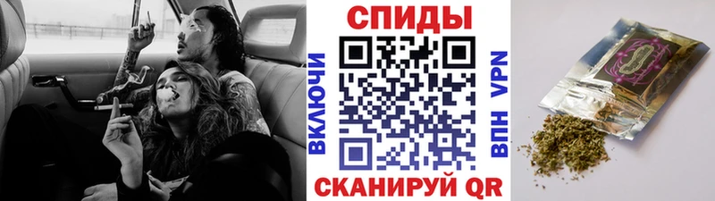 Бутират буратино  Няндома 