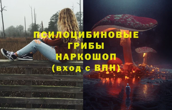 марки nbome Аркадак