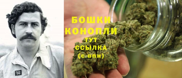 PSILOCYBIN Арсеньев